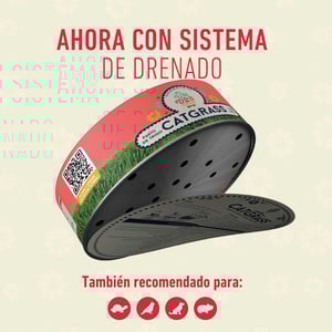 Un Dos Treats Catgrass Kit de Germinación para Pasto de Trigo para Gato