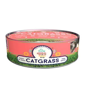 Un Dos Treats Catgrass Kit de Germinación para Pasto de Trigo para Gato Un Dos Treats Catgrass Kit de Germinación para Pasto de Trigo para Gato