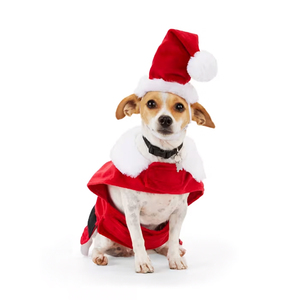 Merry Makings Disfraz de Santa Claus para Perro, Grande