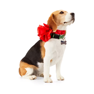 Merry Makings Accesorio Tipo Collar en Forma de Moño Rojo para Perro, Unitalla