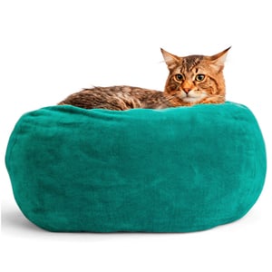 EveryYay SnoozeFest Cama Circular Ortopédica para Gato Color Verde