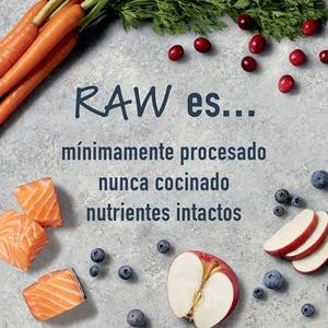 Instinct Raw Boost Alimento Natural para Perro Todas las Etapas de Vida Receta Salmón y Arroz, 9.07 kg