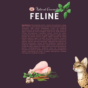 Natural Gourmet Feline Alimento Natural Libre de Granos para Gato Todas las Edades Receta Tilapia, 3 kg