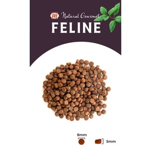 Natural Gourmet Feline Alimento Natural Libre de Granos para Gato Todas las Edades Receta Tilapia, 3 kg