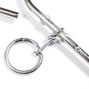 Aspen Pet Estaca de Sujeción para Exterior para Perro, 40 cm