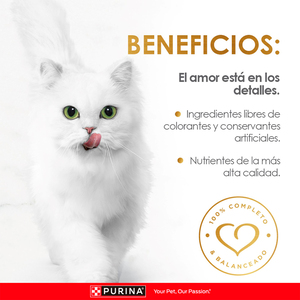 Fancy Feast Petit Filets Alimento Húmedo para Gato Adulto Receta Salmón, 85 g