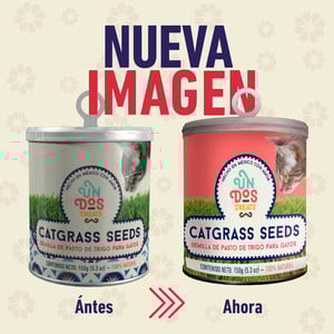 Un Dos Treats Catgrass Seeds Semillas de Pasto de Trigo para Gato, 150 g