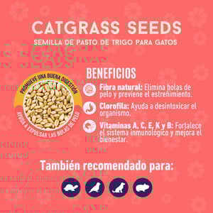 Un Dos Treats Catgrass Seeds Semillas de Pasto de Trigo para Gato, 150 g