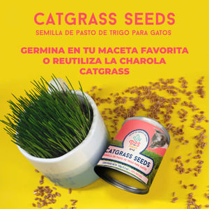 Un Dos Treats Catgrass Seeds Semillas de Pasto de Trigo para Gato, 150 g