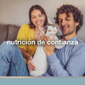 FullTrust Alimento para Gato Adulto Receta Pollo, 3 kg