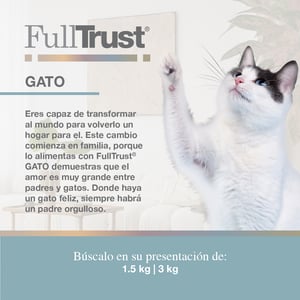 FullTrust Alimento para Gato Adulto Receta Pollo, 3 kg