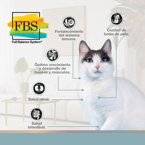 FullTrust Alimento para Gato Adulto Receta Pollo, 3 kg