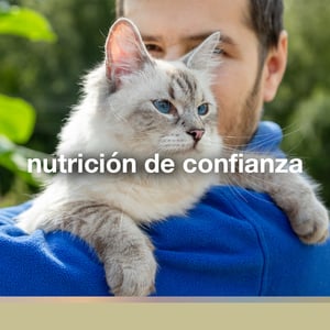 FullTrust Alimento para Gatito Receta Pollo, 1.5 kg