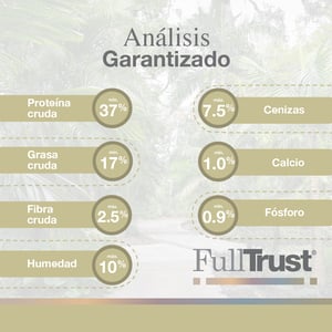 FullTrust Alimento para Gatito Receta Pollo, 1.5 kg