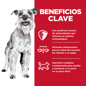 Hill's Science Diet 7+ Small & Mini Alimento Seco para Perro Senior Raza Pequeña y Mini, 2 kg