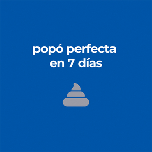 Hill's Science Diet Perfect Digestion Alimento Seco Cuidado Digestivo para Gato Adulto, 1.5 kg