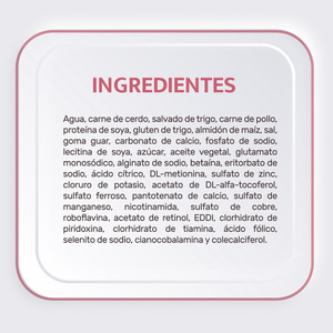 Choice Nutrition Alimento Avanzado Húmedo para Perro Adulto Todas las Razas Receta Cerdo, 100 g