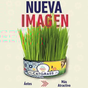 Un Dos Treats Catgrass Kit de Germinación para Pasto de Avena y Cebada para Gato