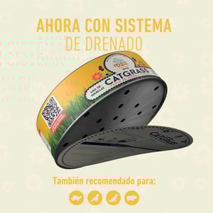 Un Dos Treats Catgrass Kit de Germinación para Pasto de Avena y Cebada para Gato