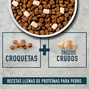 Instinct Raw Boost Alimento Seco Natural con Cereales Integrales para Perro Todas las Etapas de Vida Receta Cordero y Avena, 2 kg