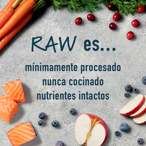 Instinct Raw Boost Alimento Seco Natural con Cereales Integrales para Perro Todas las Etapas de Vida Receta Cordero y Avena, 2 kg