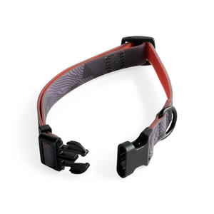 Backcountry Collar Ajustable Resistente al Agua con Broche Color Gris para Perro, X-Grande