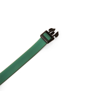 Backcountry Collar Ajustable Resistente al Agua con Broche Color Verde para Perro, X-Grande/ XX-Grande