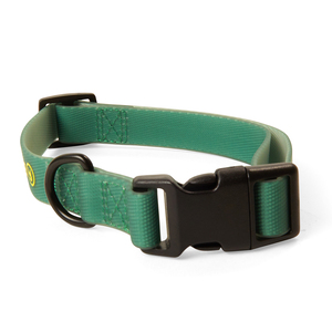 Backcountry Collar Ajustable Resistente al Agua con Broche Color Verde para Perro, X-Grande/ XX-Grande