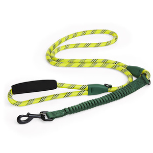 Backcountry Correa de Cuerda con Absorción de Impacto para Correr Color Verde para Perro, 1.8 m