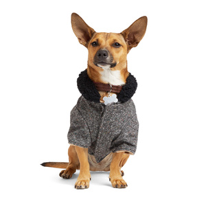 Reddy 4 Winter Chamarra Estilo Pana Gris para Perro, Mediano Reddy 4 Winter Chamarra Estilo Pana Gris para Perro, Mediano