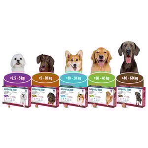 Simparica Trio Masticable Desparasitante Externo e Interno para Perro 5-10 kg, 3 Tabletas