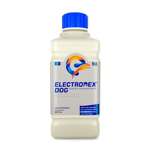 Electrodex Dog Bebida Rehidratante para Perro Todas las Edades Sabor Lácteo, 625 ml Electrodex Dog Bebida Rehidratante para Perro Todas las Edades Sabor Lácteo, 625 ml