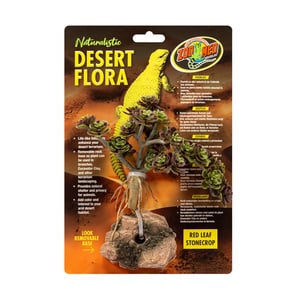 Zoo Med Flora del Desierto Decoración Stonecrop de Hoja Roja para Reptiles Zoo Med Flora del Desierto Decoración Stonecrop de Hoja Roja para Reptiles