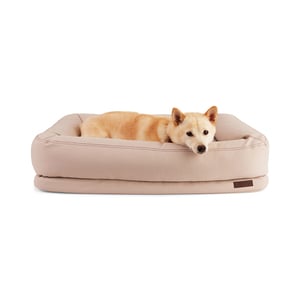 Reddy Cama Rectangular Resistente con Bordes Elevados Color Nude para Perro, Mediano Reddy Cama Rectangular Resistente con Bordes Elevados Color Nude para Perro, Mediano