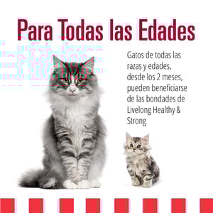 Livelong Healthy & Strong Alimento Natural Húmedo para Gato Todas las Edades Receta Delicias de Carne, 354 g