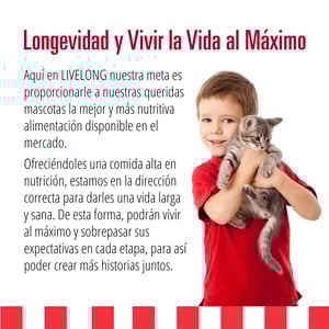 Livelong Healthy & Strong Alimento Natural Húmedo para Gato Todas las Edades Receta Delicias de Carne, 354 g