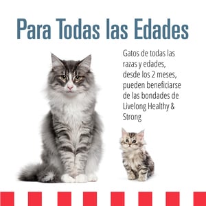 Livelong Healthy & Strong Alimento Natural Húmedo para Gato Todas las Edades Receta Delicias del Mar, 354 g