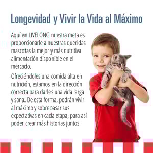 Livelong Healthy & Strong Alimento Natural Húmedo para Gato Todas las Edades Receta Delicias del Mar, 354 g