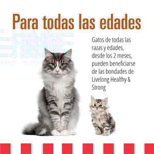 Livelong Healthy & Strong Alimento Natural Húmedo para Gato Todas las Edades Receta Delicias de Aves, 354 g
