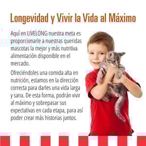 Livelong Healthy & Strong Alimento Natural Húmedo para Gato Todas las Edades Receta Delicias de Aves, 354 g