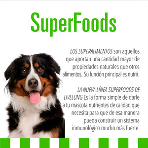 Livelong Superfoods Vegetarian Alimento Húmedo Libre de Granos Receta Vegetariana para Perro Adulto, 354 g