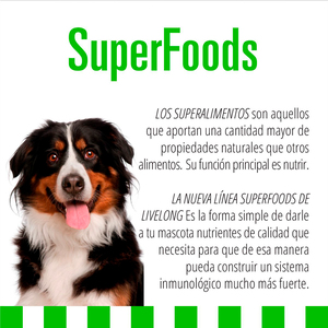 Livelong Superfoods Vegetarian Alimento Húmedo Granos Saludables Receta Vegetariana para Perro Adulto, 354 g