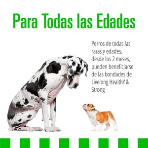 Livelong Superfoods Vegetarian Alimento Húmedo Granos Saludables Receta Vegetariana para Perro Adulto, 354 g