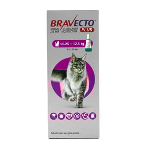 Bravecto Plus Pipeta Desparasitante Externa e Interna para Gato, 500 mg Bravecto Plus Pipeta Desparasitante Externa e Interna para Gato, 500 mg