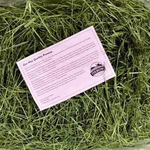 Oxbow Heno Timothy para Pequeños Herbívoros, 22.6 kg
