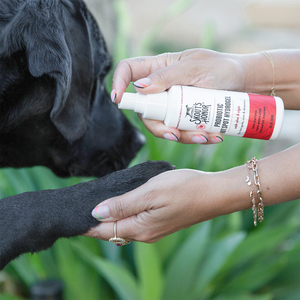 Skout's Honor Hidrogel para Cuidado de Heridas y Abrasiones con Probióticos para Perro y Gato, 118 ml