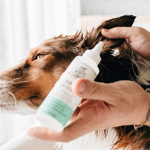 Skout's Honor Solución Natural para Limpieza de Oídos con Probióticos para Perro y Gato, 118 ml