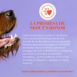 Skout's Honor Solución Natural para Limpieza de Oídos con Probióticos para Perro y Gato, 118 ml