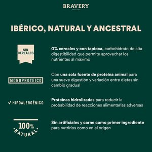 Bravery Alimento Seco Natural Libre de Granos para Perro Adulto Raza Mediana/Grande Receta Salmón, 4 kg
