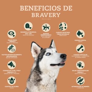 Bravery Alimento Seco Natural Libre de Granos para Perro Adulto Raza Mediana/Grande Receta Salmón, 4 kg